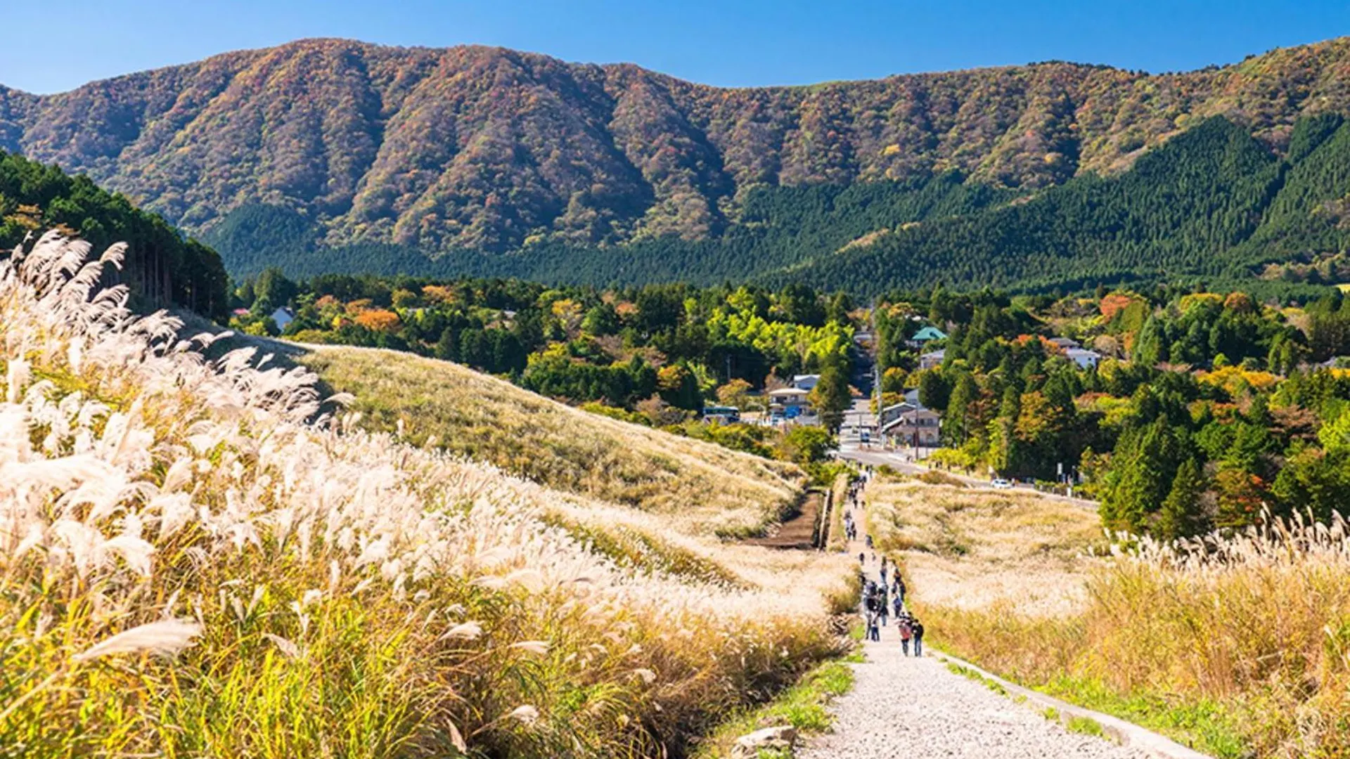 Hotel Morinokaze Hakone Sengokuhara